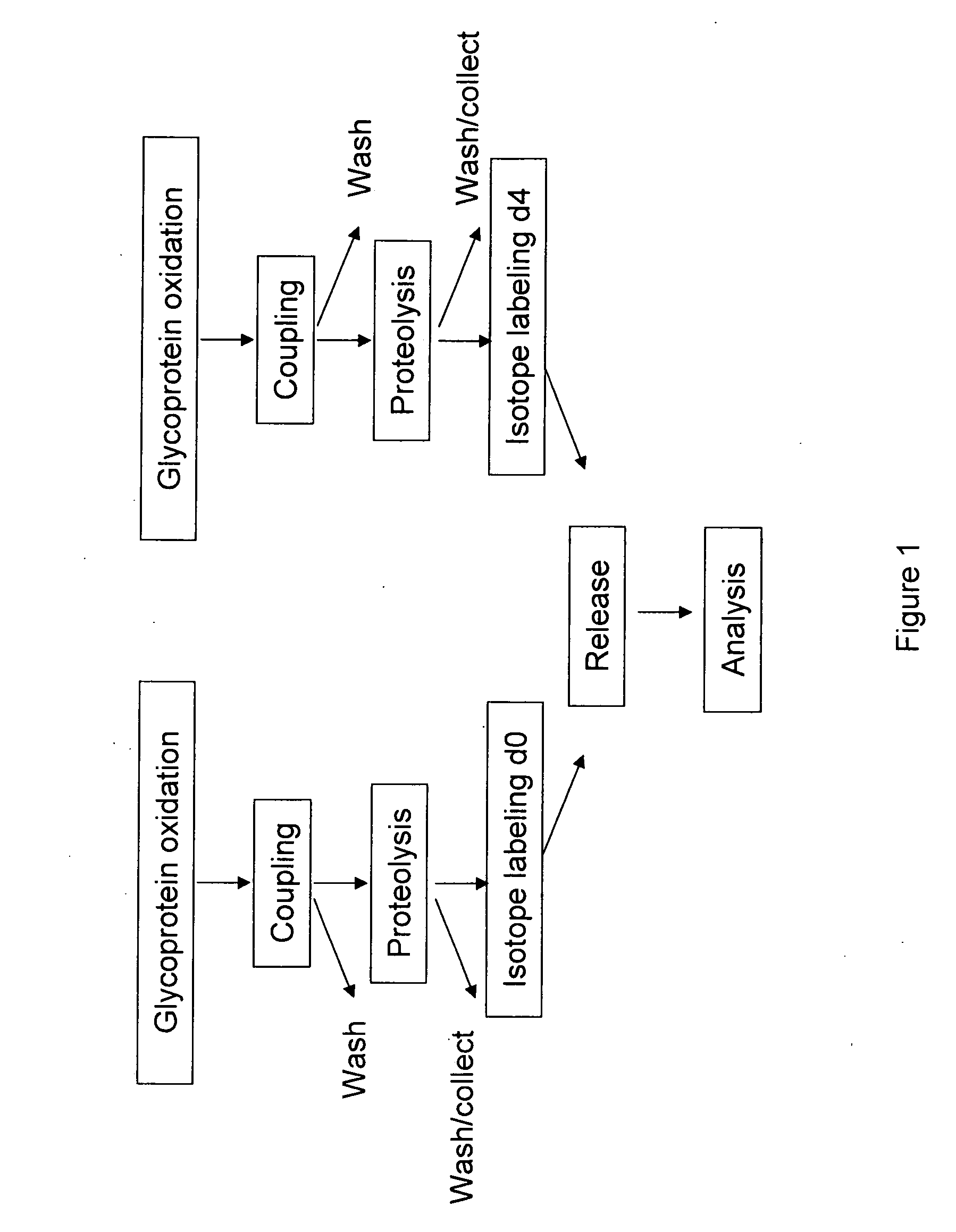 Methods for quantitative proteome analysis of glycoproteins