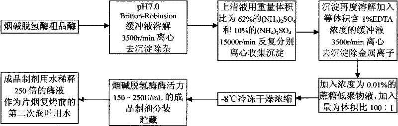A kind of enzyme preparation using nicotine dehydrogenase as auxiliary tobacco processing and its preparation and use method