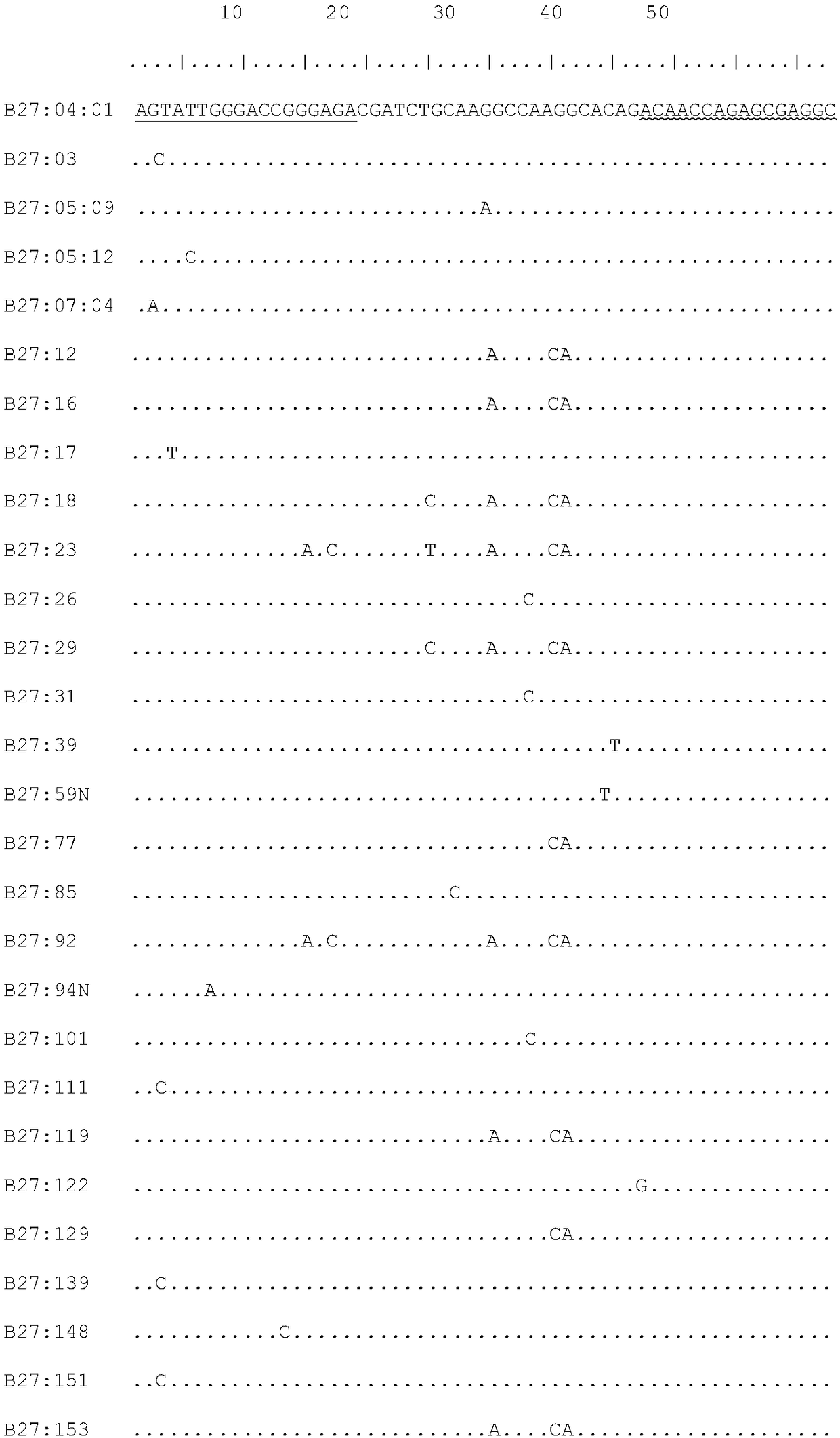 HLA-B27 (Human Leukocyte Antigen-B27) allele detection kit and application thereof