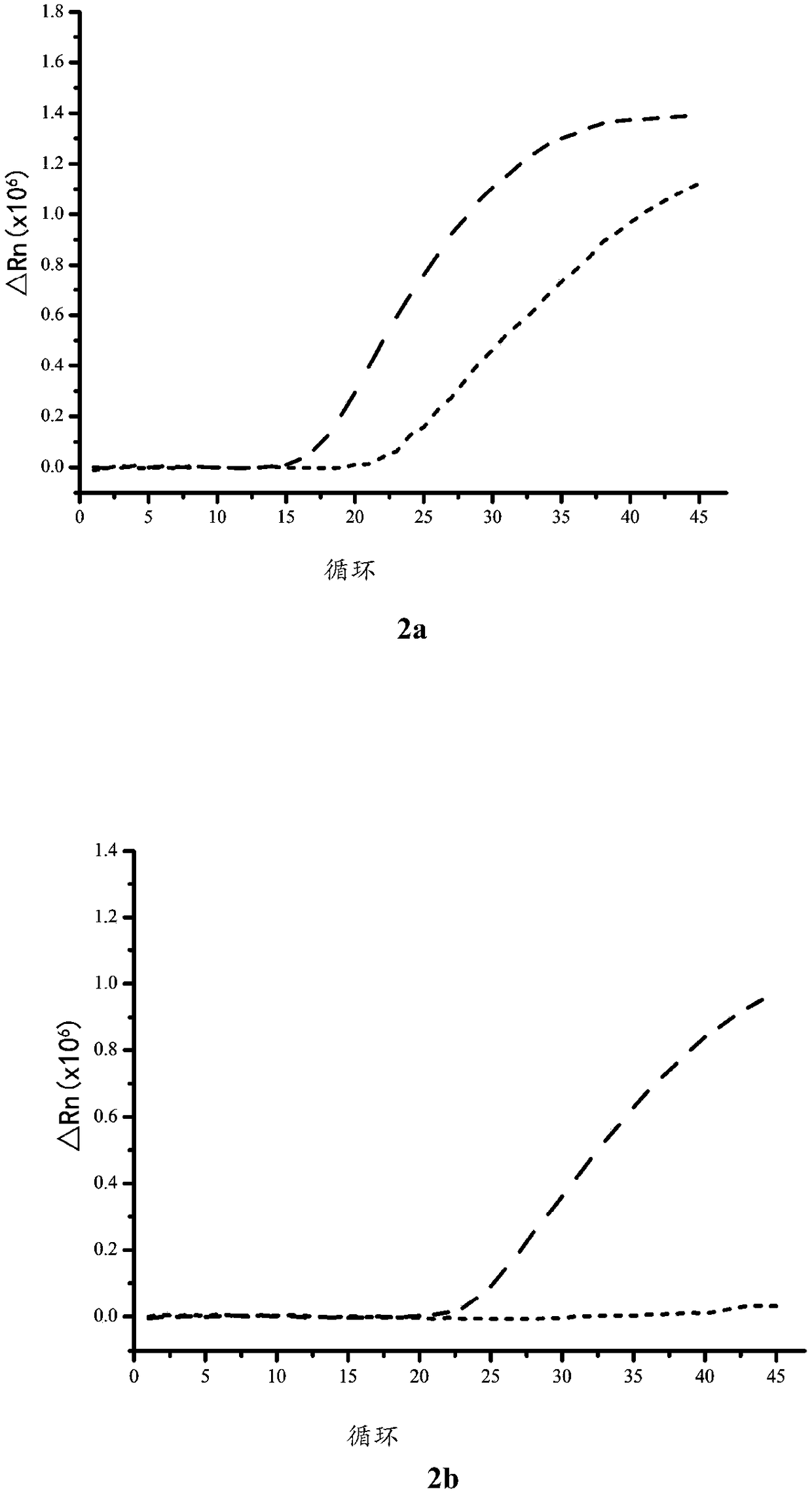 HLA-B27 (Human Leukocyte Antigen-B27) allele detection kit and application thereof