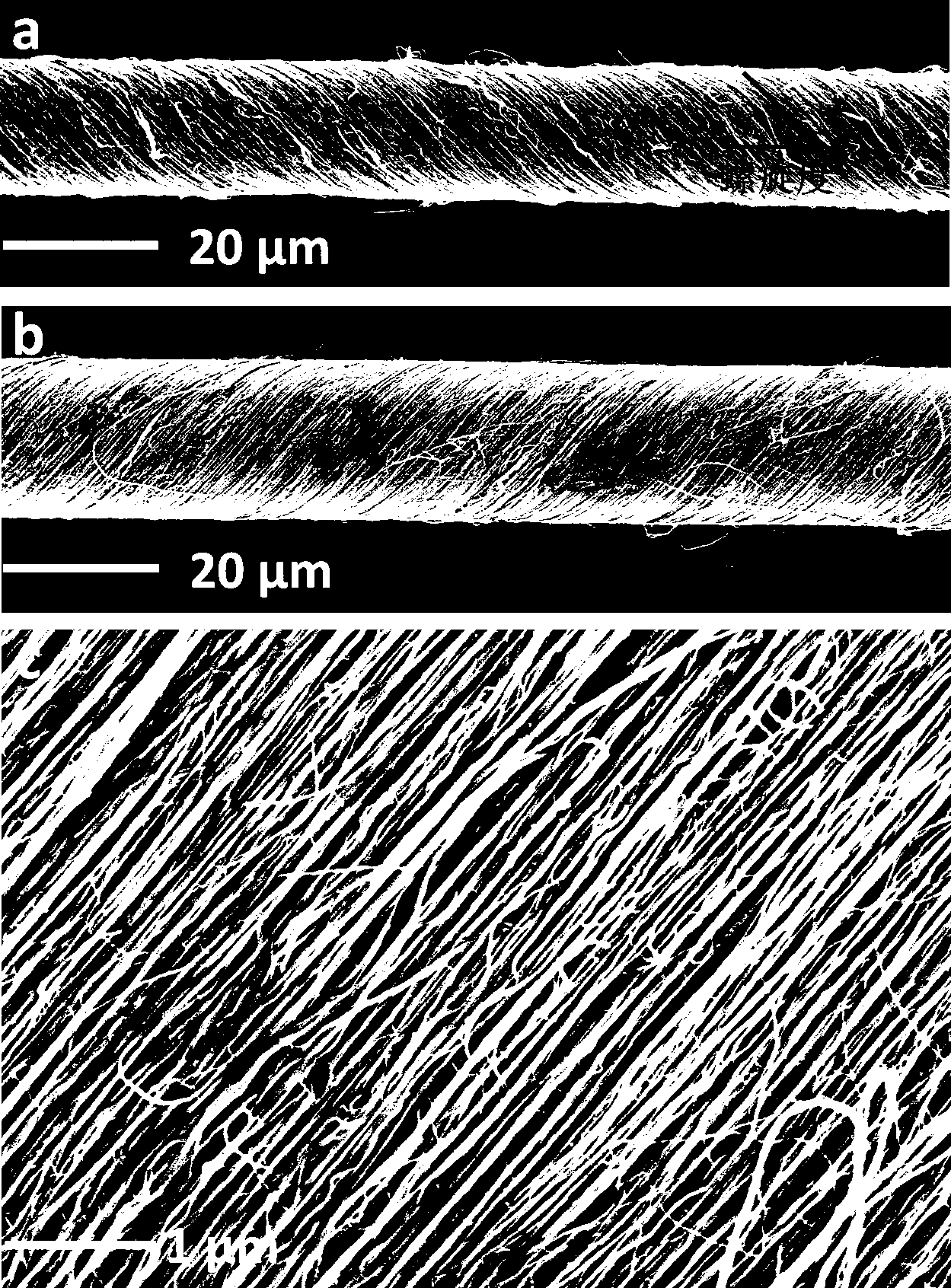 Oriented helical carbon nanotube fiber, preparation method and use thereof