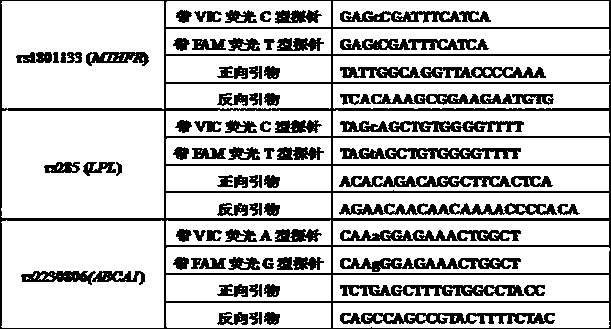 Individualized intervention teabag for gene of high blood lipid and preparation method of individualized intervention teabag