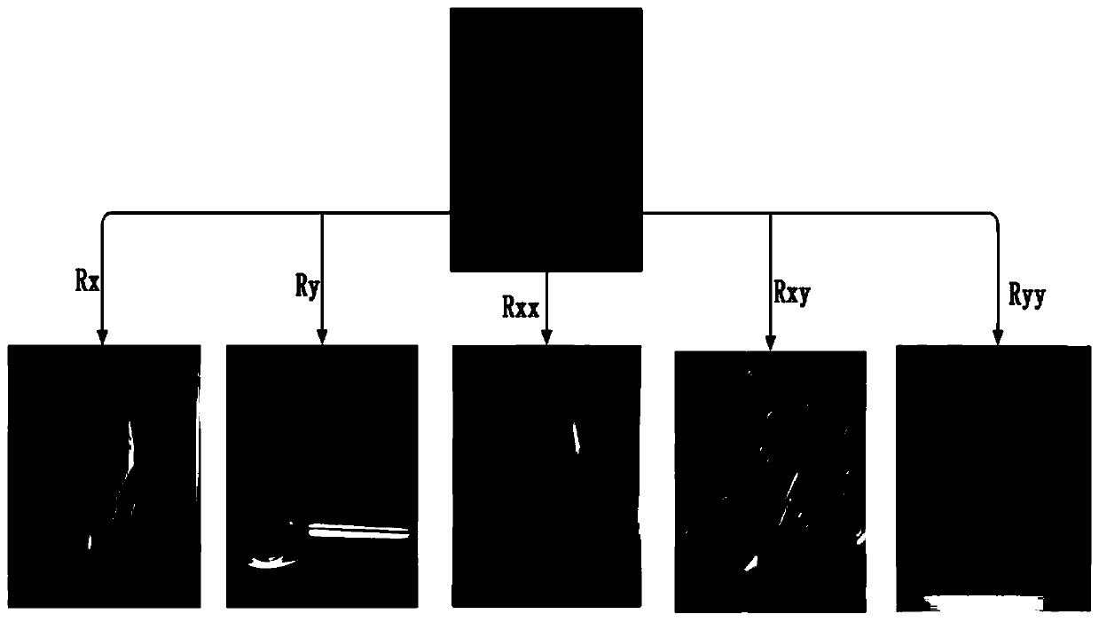 Image fusion method based on Riesz-Lap transformation and PCNN