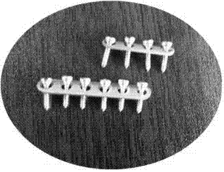 Coated magnesium alloy bone nail, bone plate and cancellous bone screw and preparation method thereof