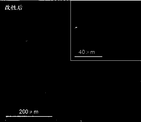 Method for fixing polypeptide aptamers on surface of cardiovascular implanting device