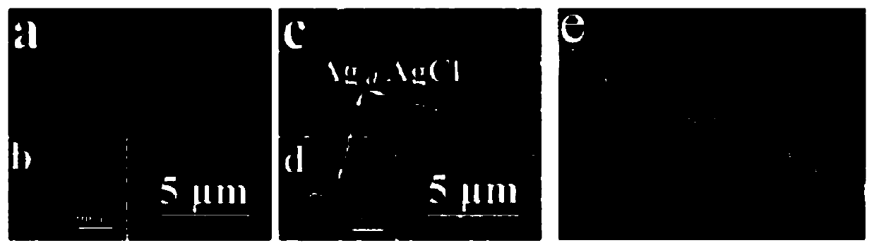 A kind of bismuth stannate/silver-silver chloride photocatalytic film material and preparation method thereof