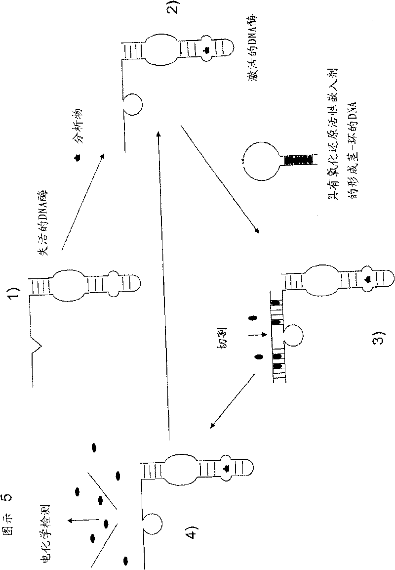 Method of derivatising an analyte for subsequent detection through a nucleic acid based sensor