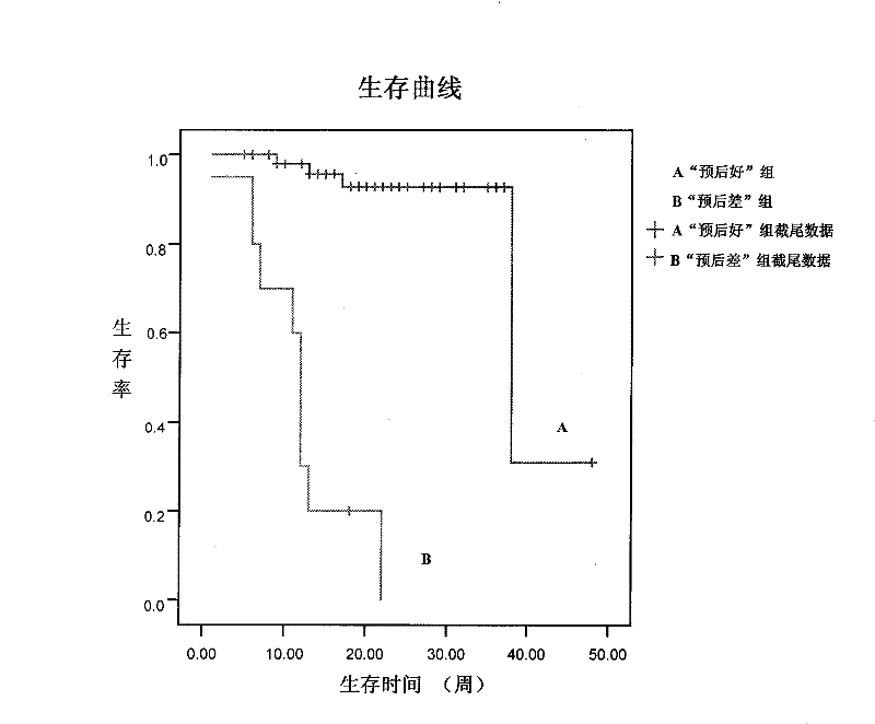 Gene group for selection and/or prognostic evaluation of lung cancer treatment scheme, gene chip and detection kit thereof