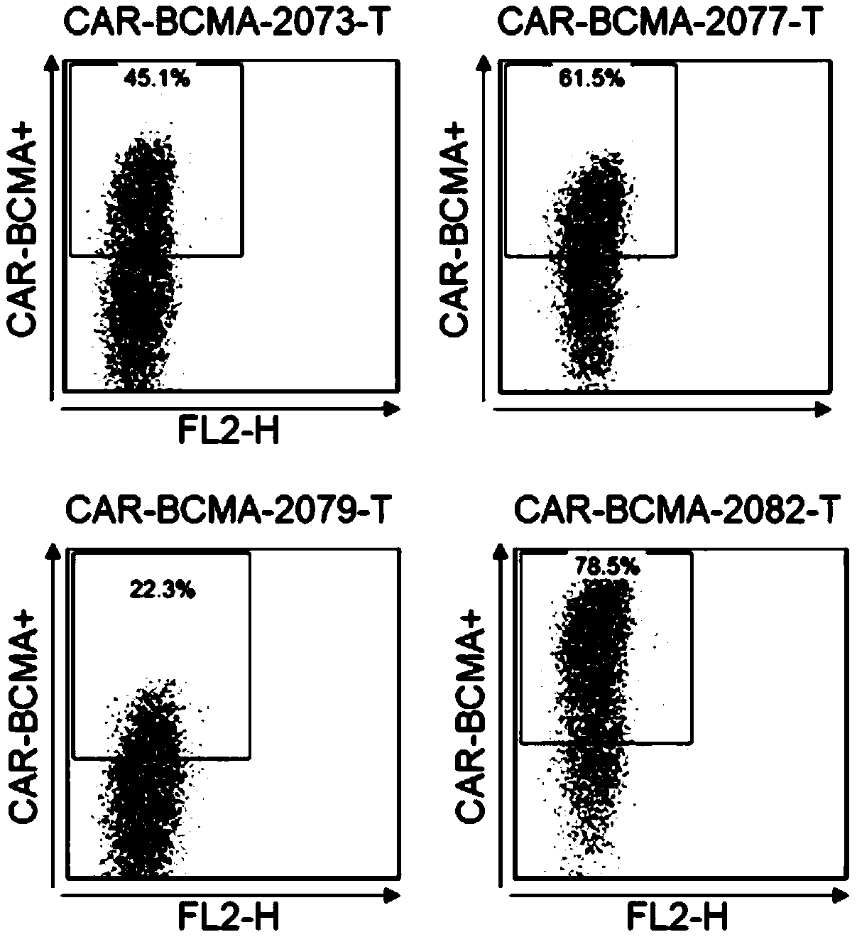 Antibody and chimeric antigen receptor for targeting BCMA protein, and drug