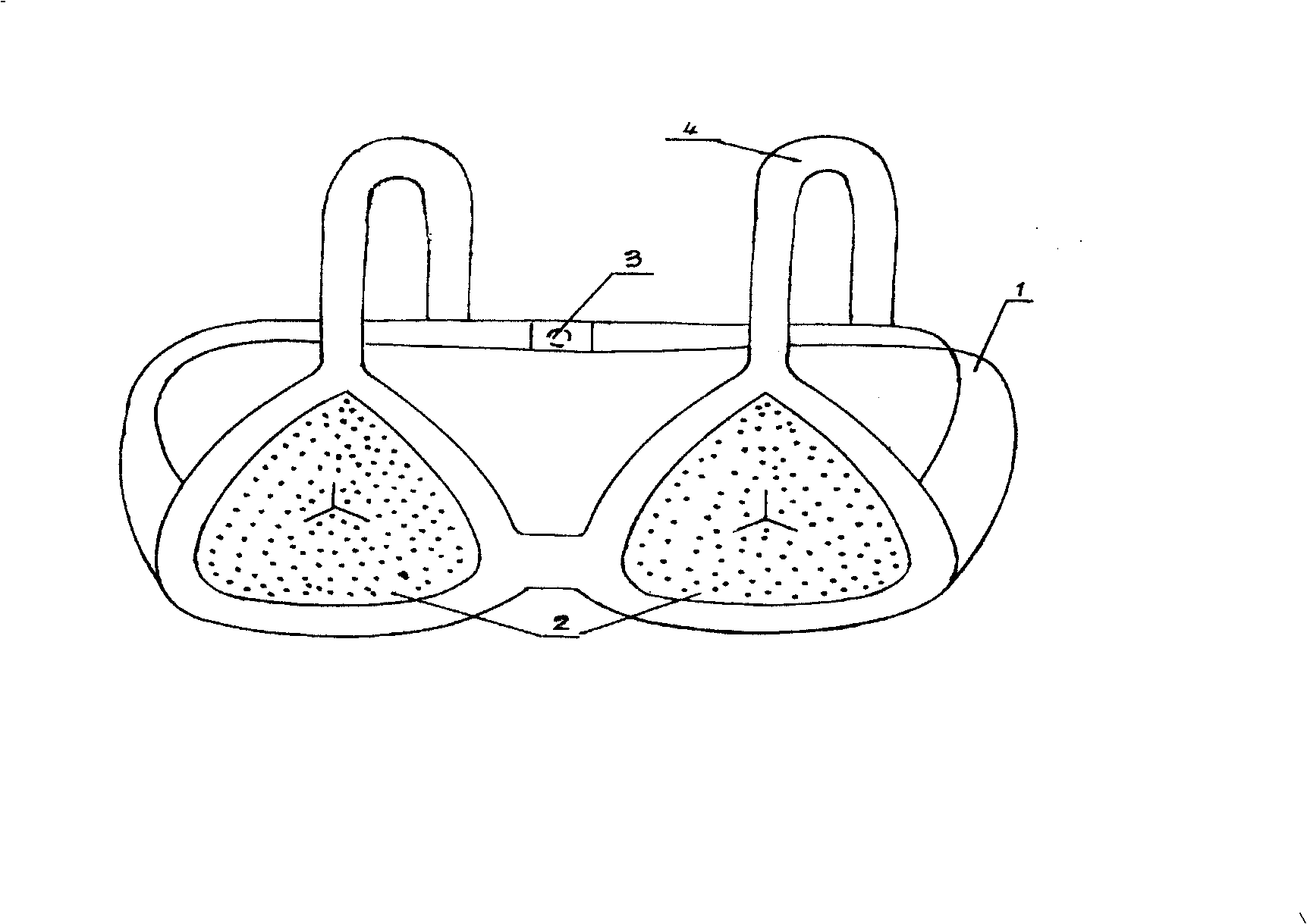 Antimicrobial health brassiere and production method