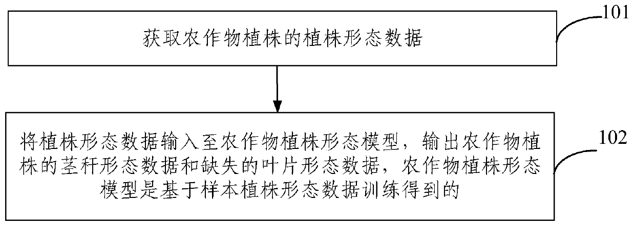 Crop plant phenotype analysis method and device