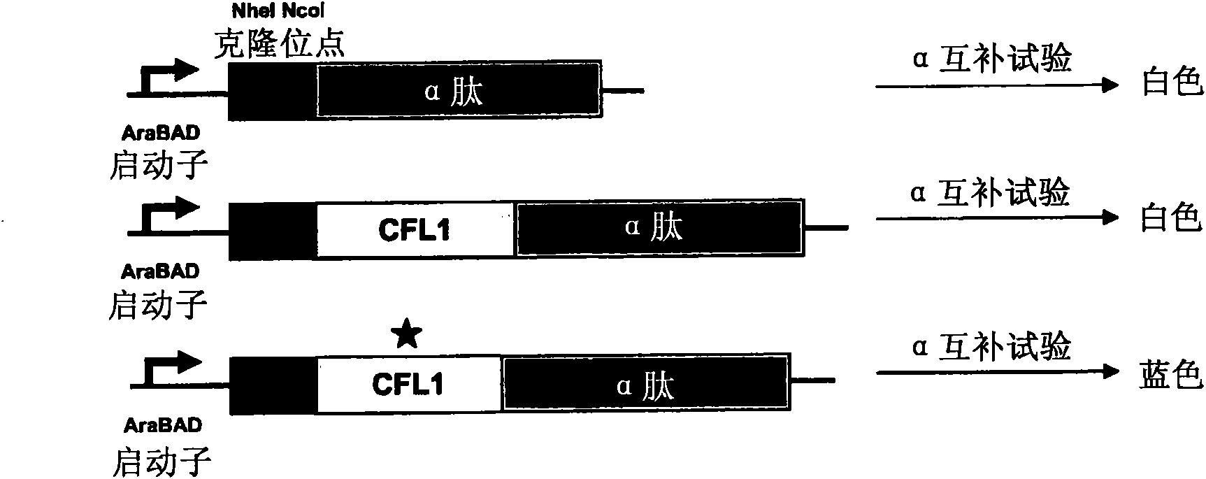 Compositions and methods of detecting tiabs