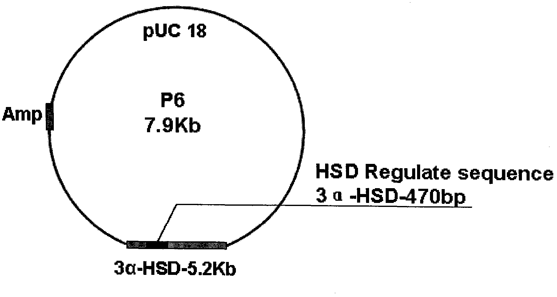 Anabolic steroids and polycyclic aromatic hydrocarbon high-efficiency bioluminescence sensor and construction method thereof