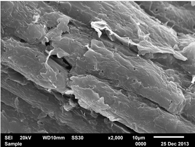 A preparation method of nanocrystalline cellulose magnetic particles adsorbing heavy metal ions