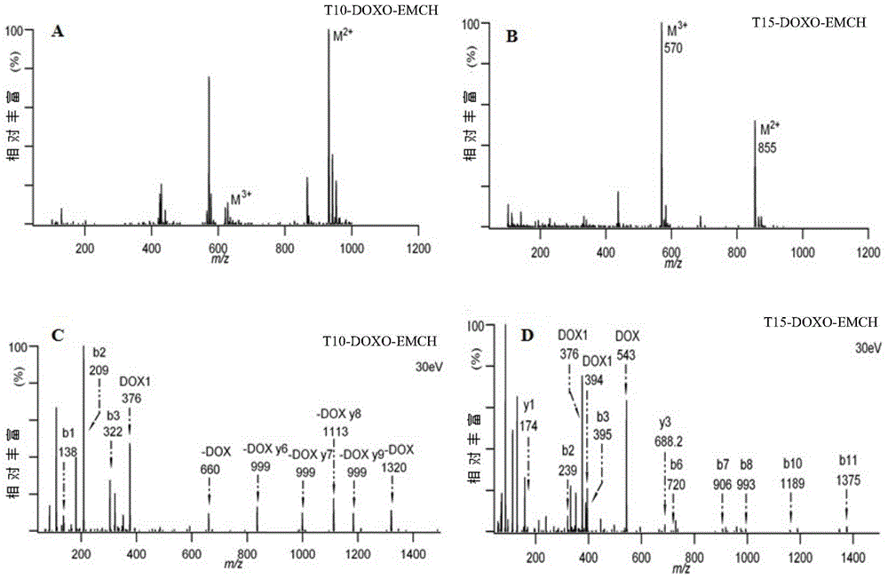 Tumor-targeting polypeptide-doxorubicin derivative and its preparation method and application