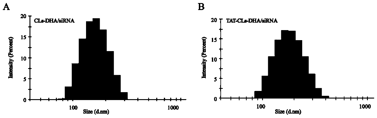 Cationic liposome containing DHA and HMGB1-silent siRNA, preparation method and application of cationic liposome