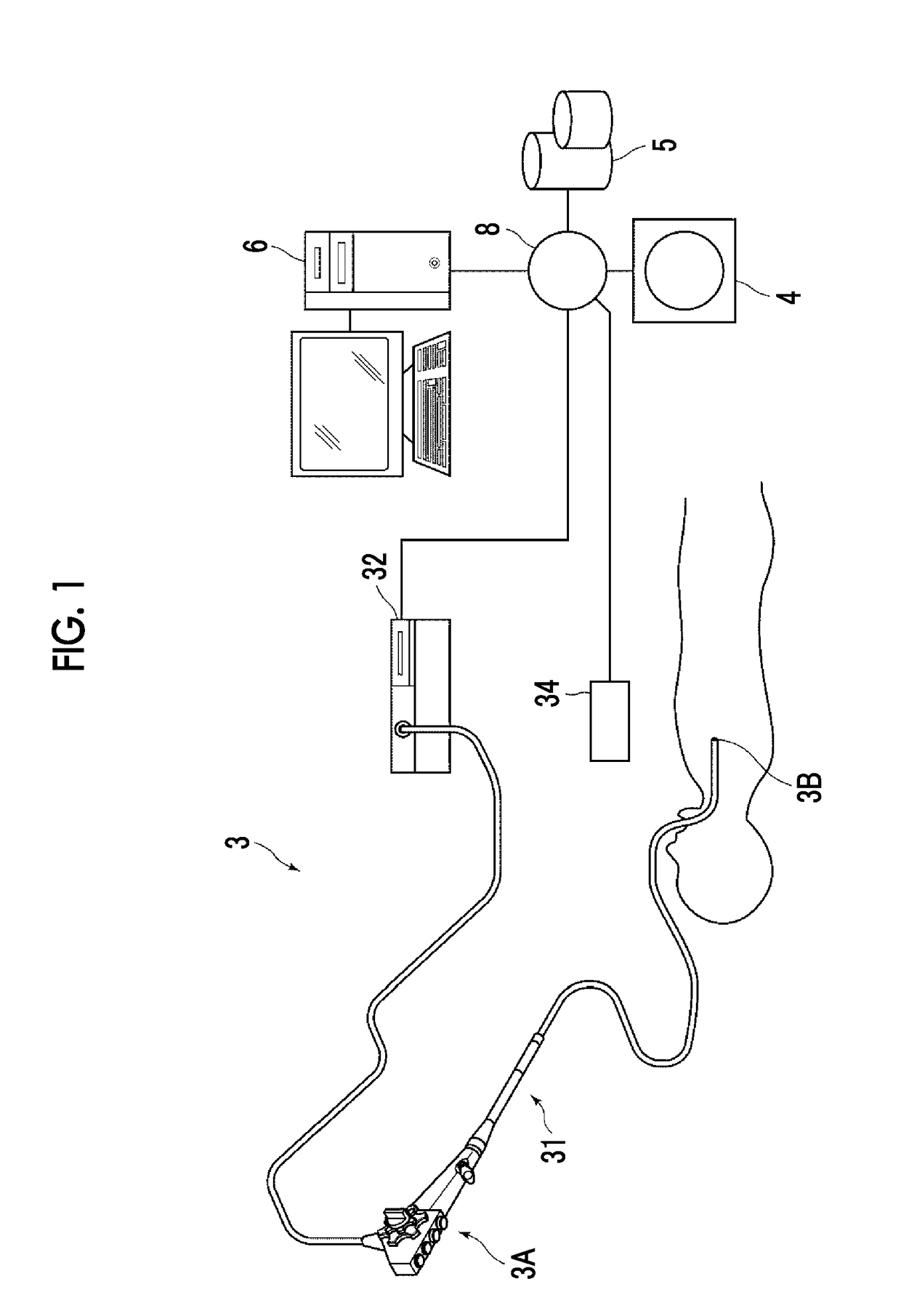 Endoscopic examination support device, endoscopic examination support method, and endoscopic examination support program
