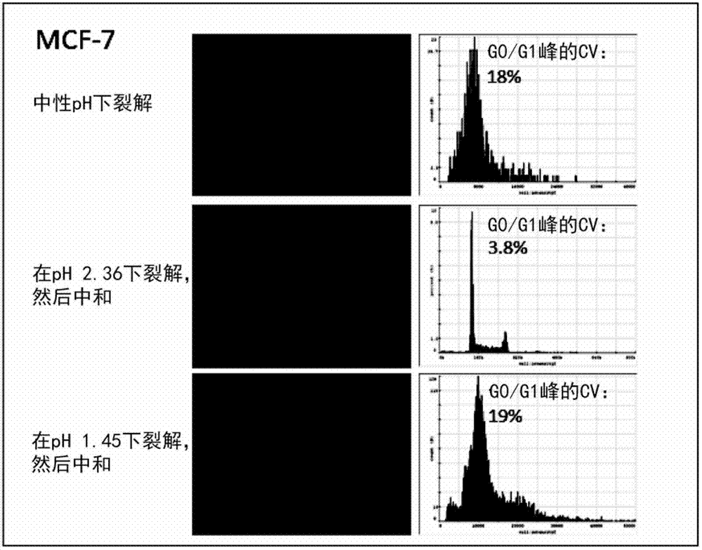 Method for analysis of cellular DNA content