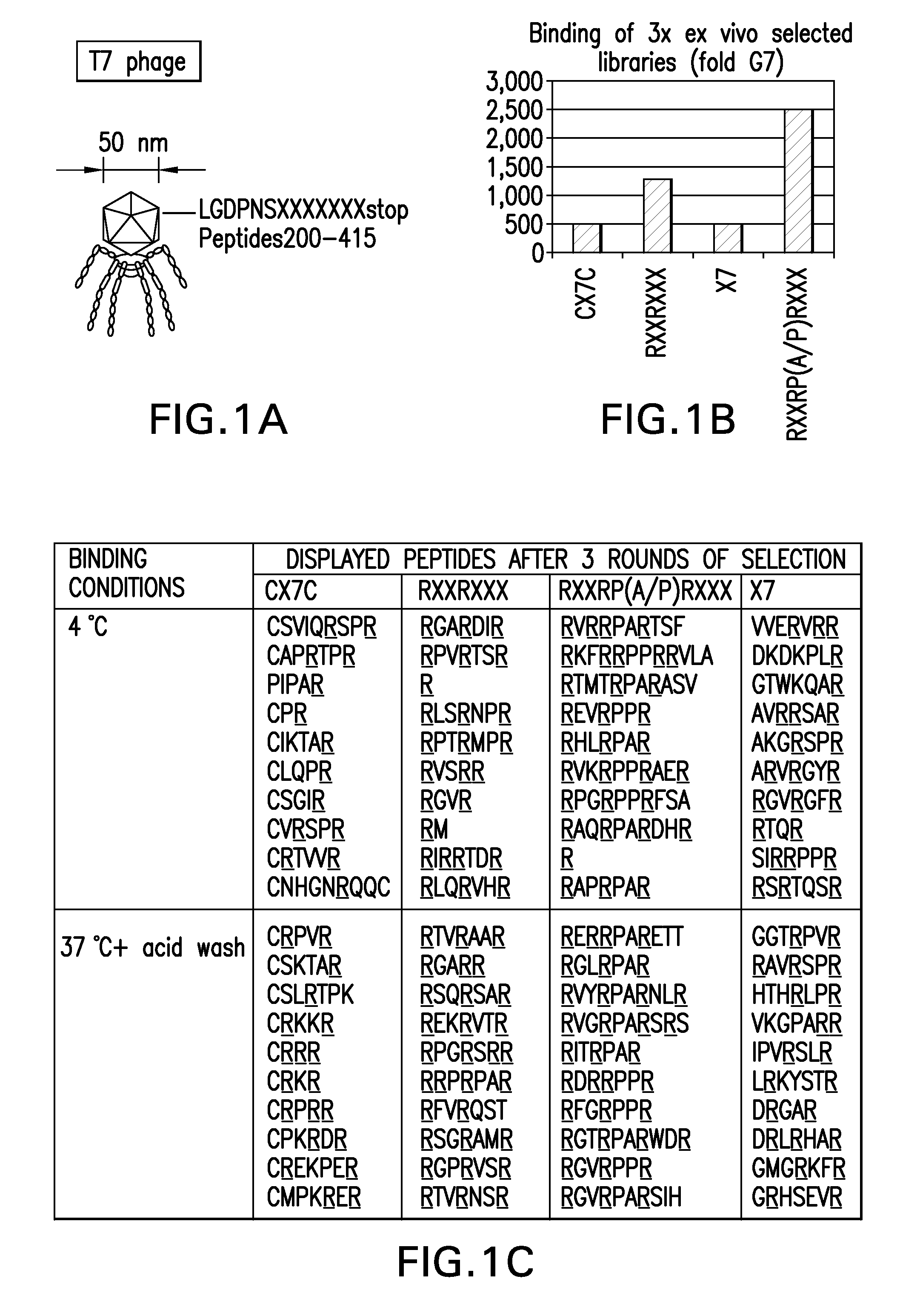 Methods and compositions related to peptides and proteins with c-terminal elements