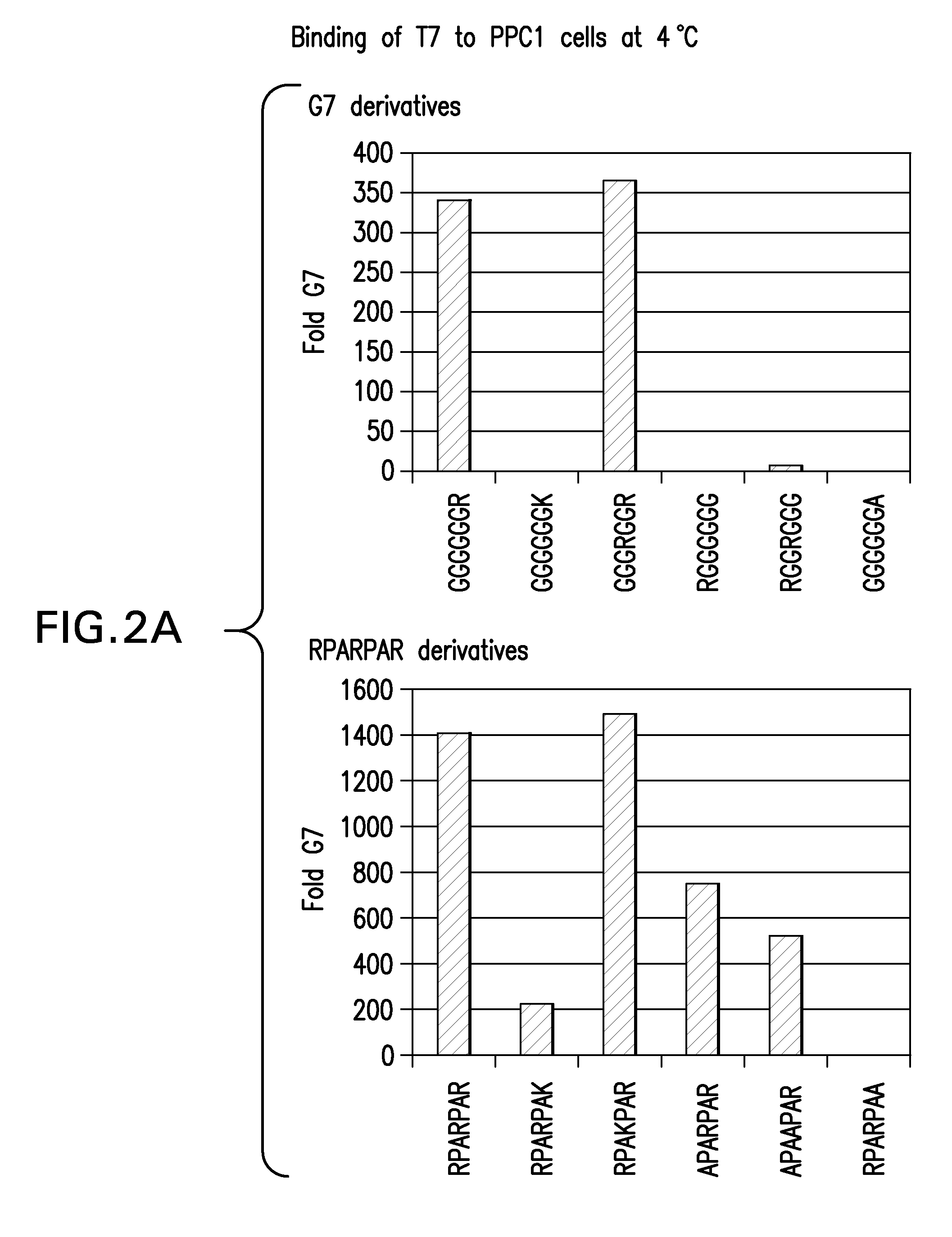 Methods and compositions related to peptides and proteins with c-terminal elements