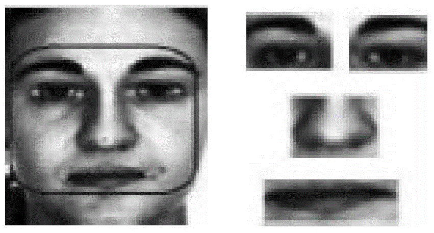 Sparse representation based incremental face recognition method