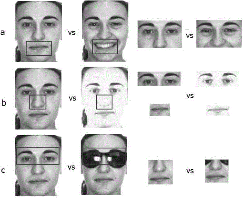 Sparse representation based incremental face recognition method