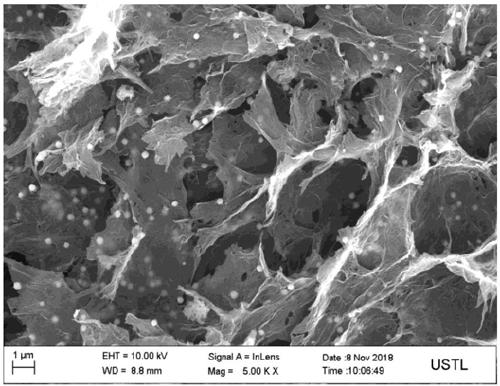 Co3O4/three-dimensional nitrogen-doped graphene hydrogel catalyst for activating persulfate as well as preparation and use methods of catalyst