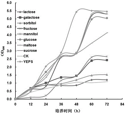 Ustilago esculenta haploid strain UET2 and use thereof