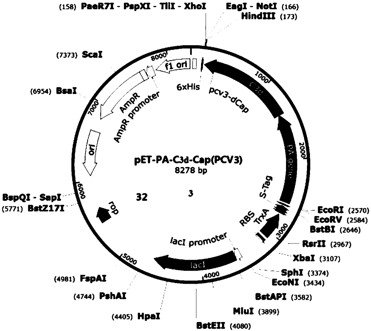 Fusion protein, preparation method and application thereof, expression system and vaccine