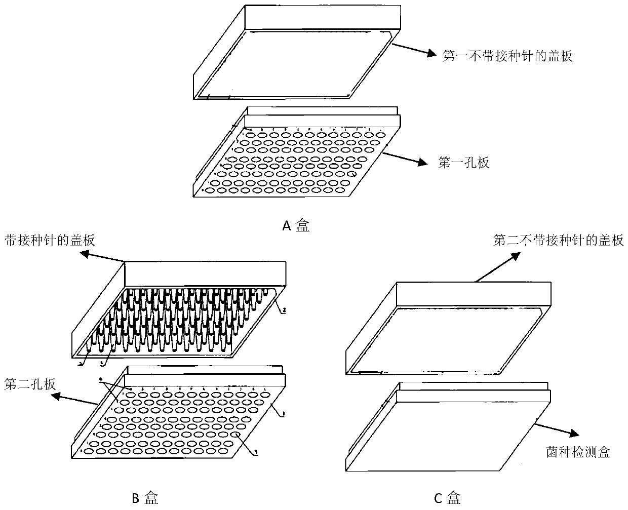 Detection plate for high-flux screening of zoonotic pathogenic bacterium phage and application of detection plate