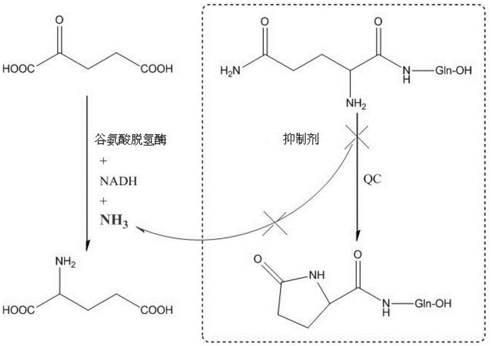 Preparation method and application of glutaminylcyclase (QC) inhibitor