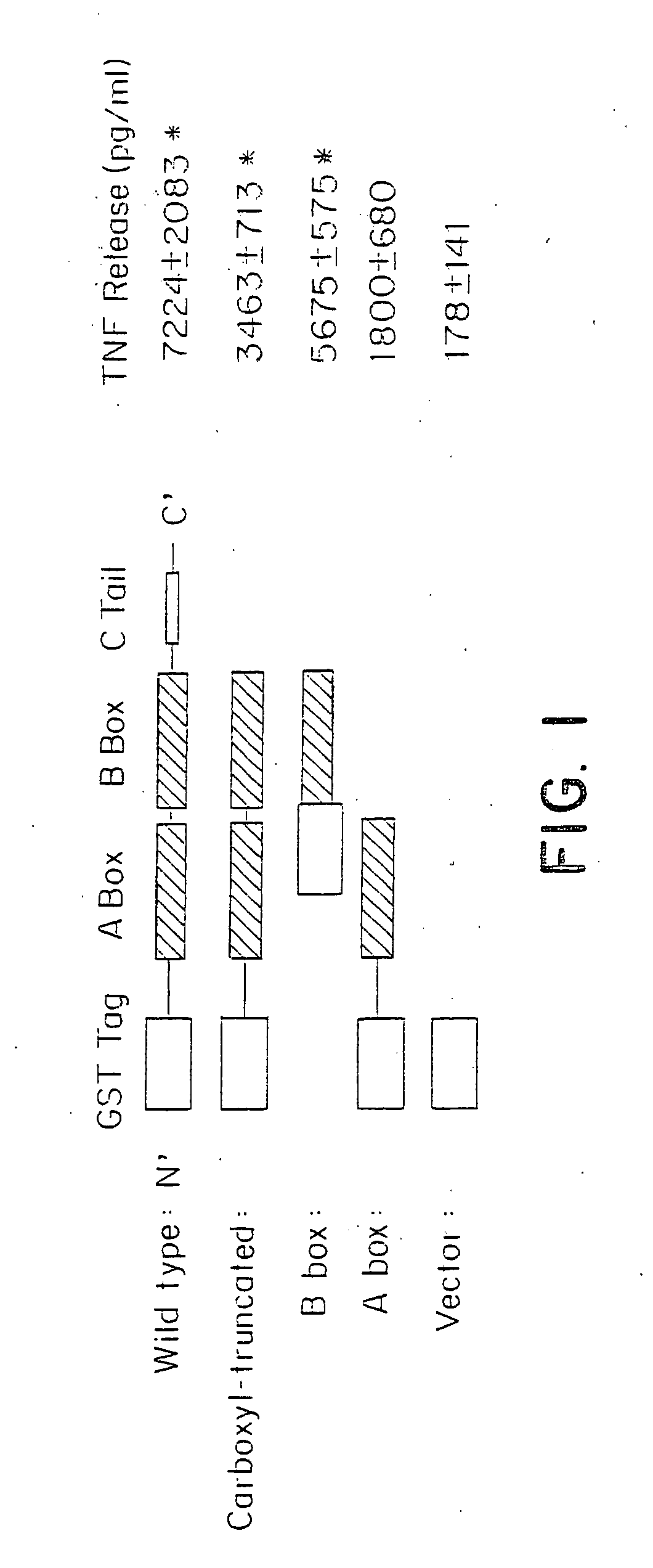 Use of HMGB fragments as anti-inflammatory agents