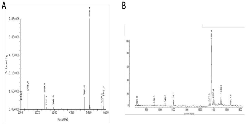 Antisense oligonucleotide targeting COVID-19 new coronavirus, NATAC chimeric molecule and application thereof