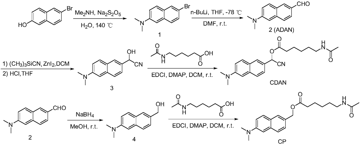 Histone deacetylase fluorescence probe, and preparation method and applications thereof