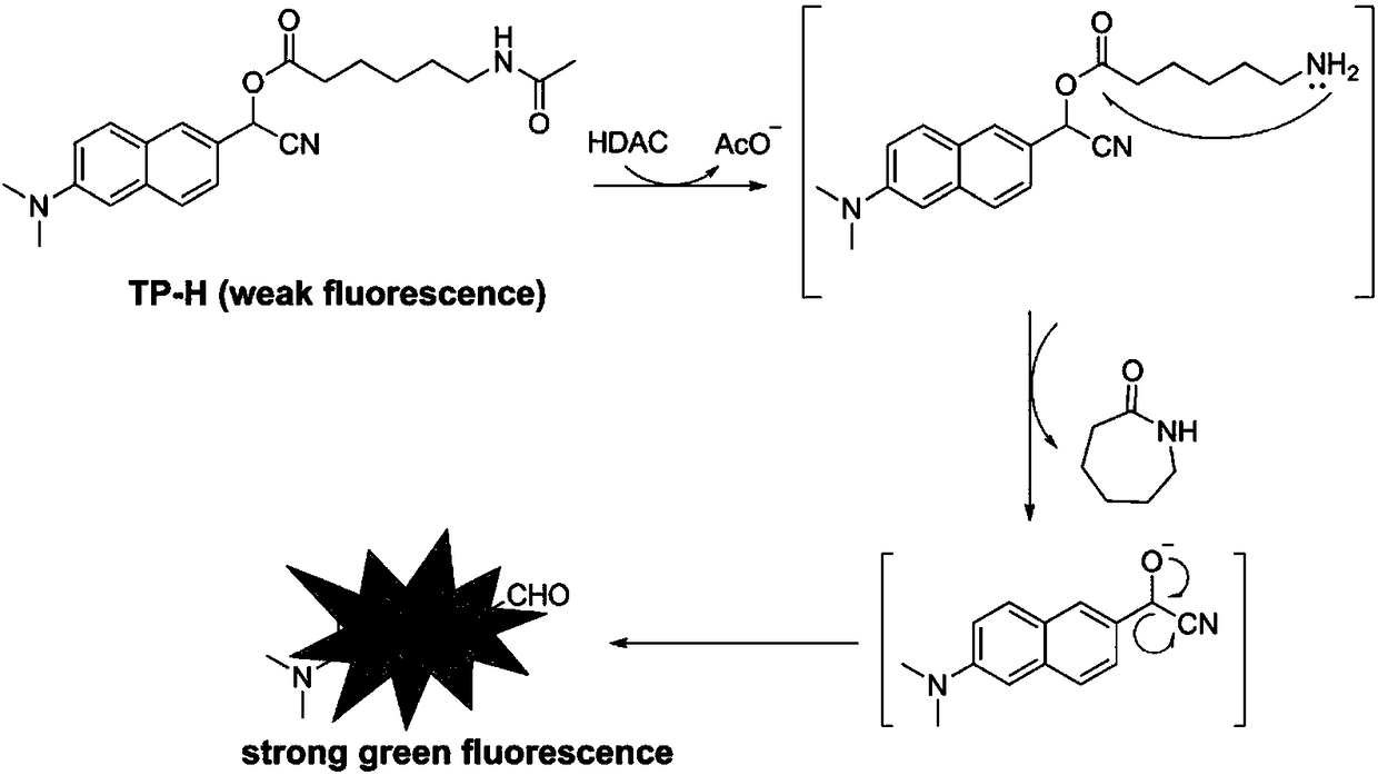 Histone deacetylase fluorescence probe, and preparation method and applications thereof