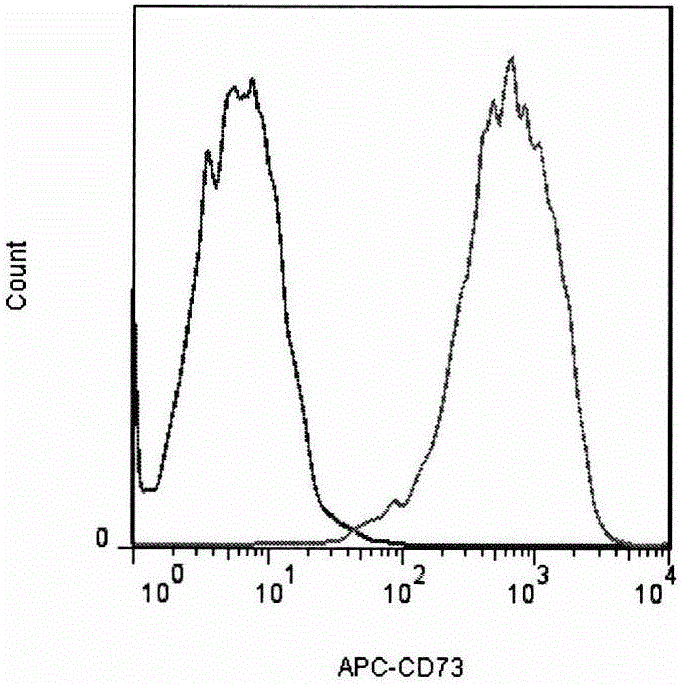 Culture method for inducing adipose tissue-derived stromal cells to differentiate to chondrocyte
