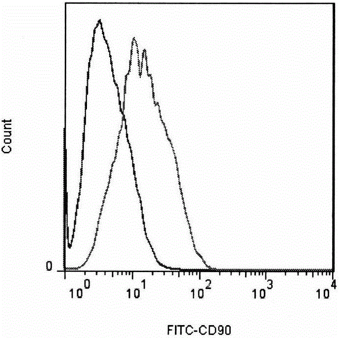 Culture method for inducing adipose tissue-derived stromal cells to differentiate to chondrocyte