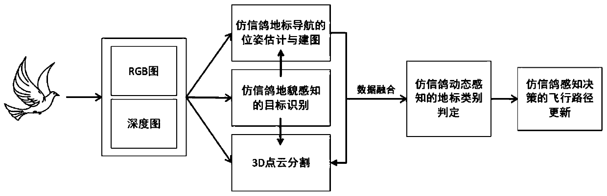 Unmanned aerial vehicle autonomous navigation method of imitating homing pigeon geomorphic perception homing mechanism