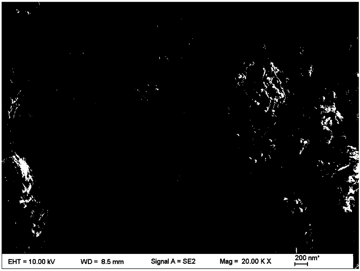 Polyaniline/g-C3N4-coated glucose composite material preparation method