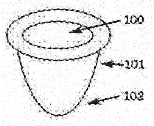 Artificial insemination device