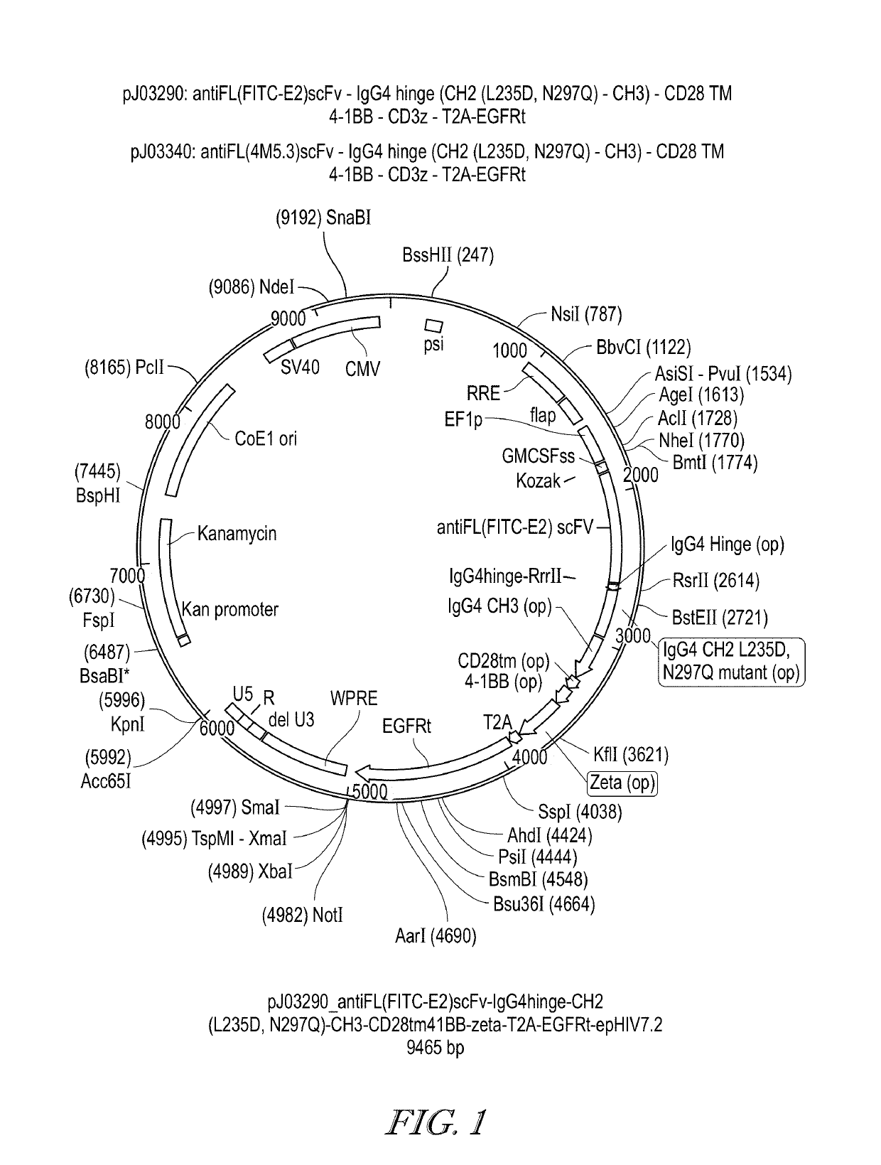 Methods of use for car t cells