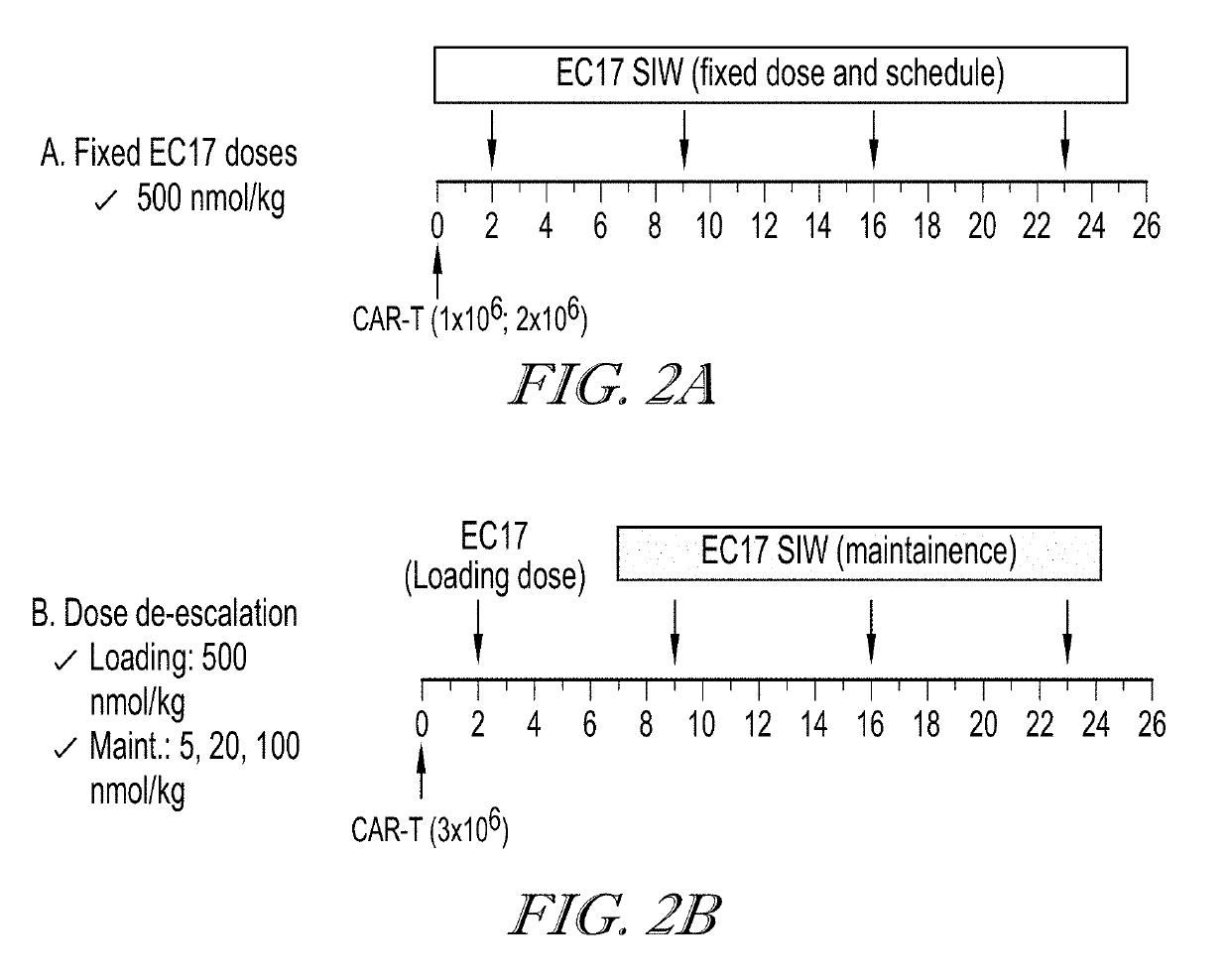 Methods of use for car t cells