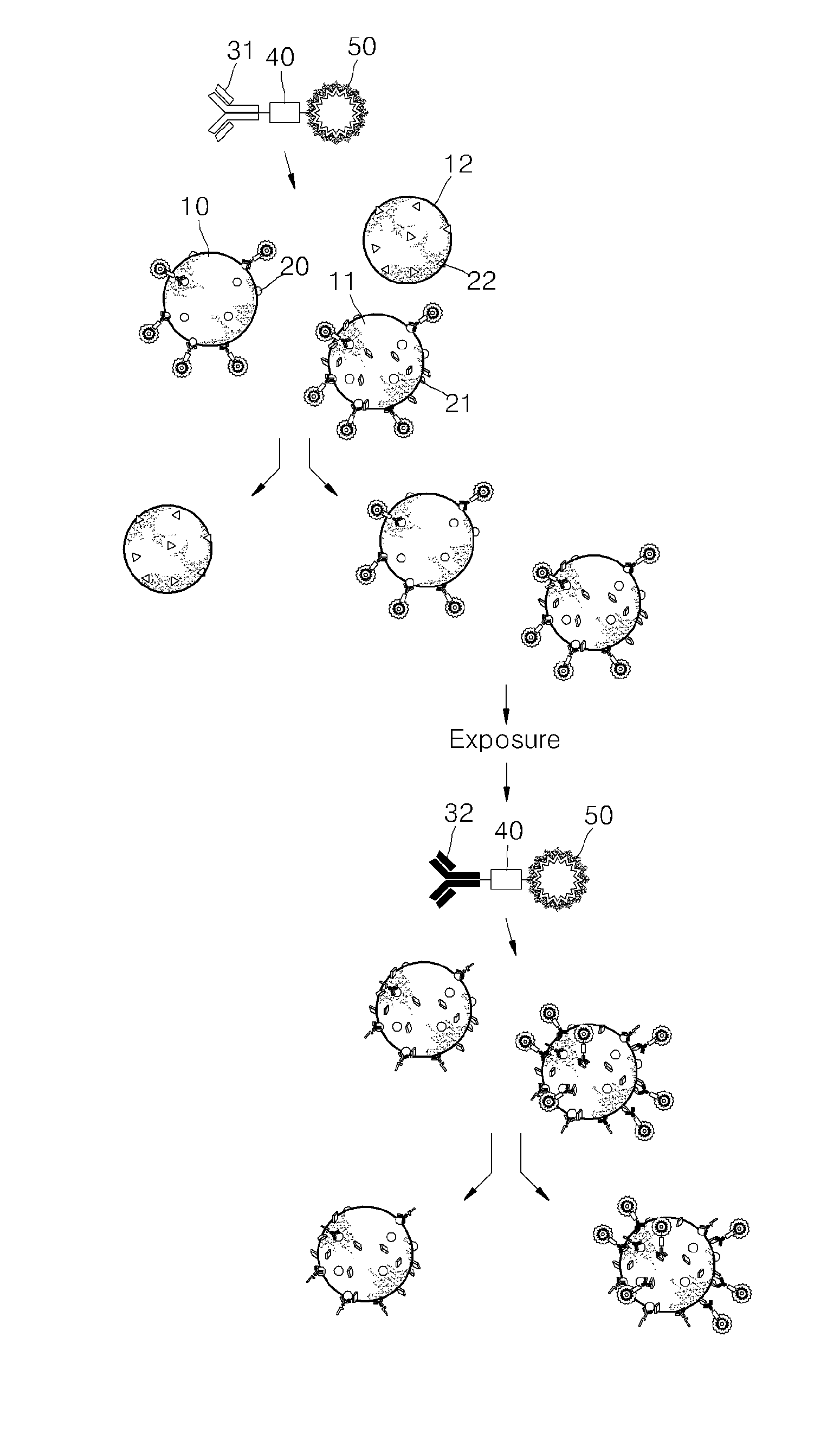 Method of isolating or counting target cells by using photocleavable linker coupled with fluorescent dye