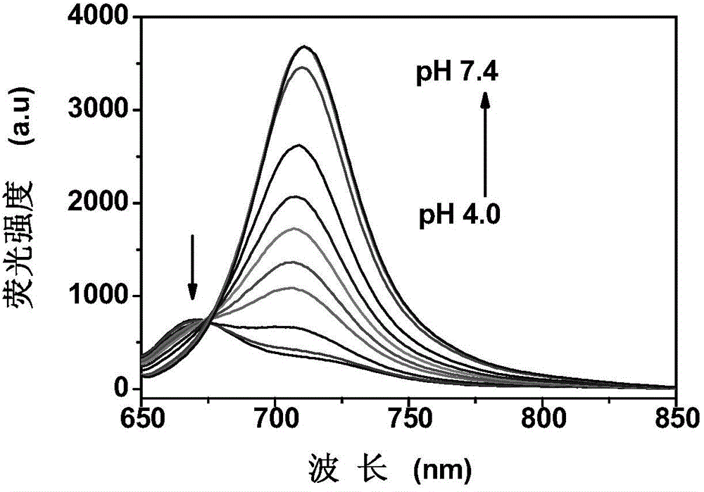 Fluorescent probe for detecting pH value and preparation method thereof, and special detection kit