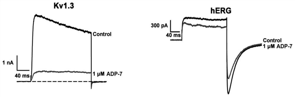 Scorpion active polypeptide adp-7 and its application