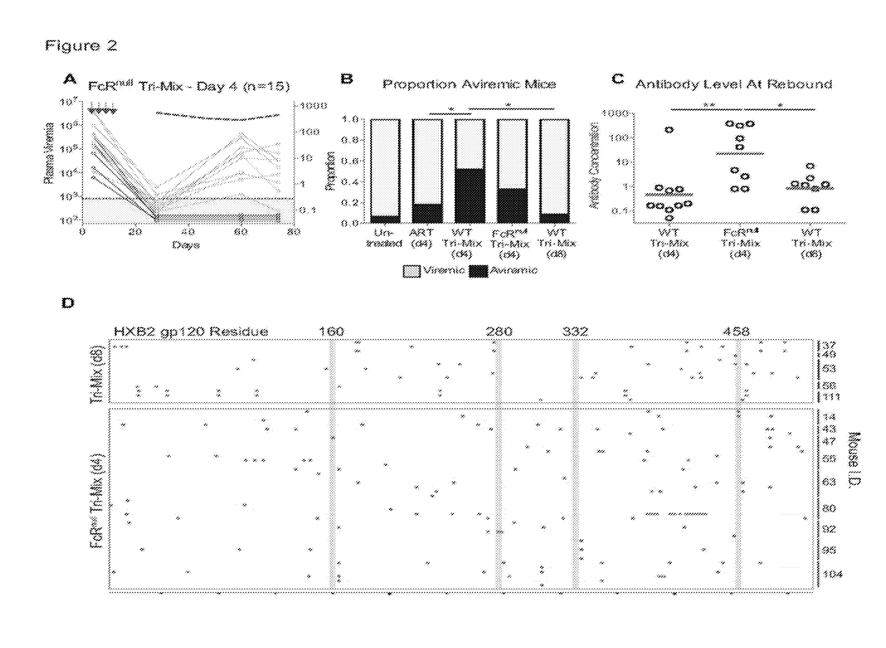 Combination of Broadly Neutralizing HIV Antibodies and Viral Inducers