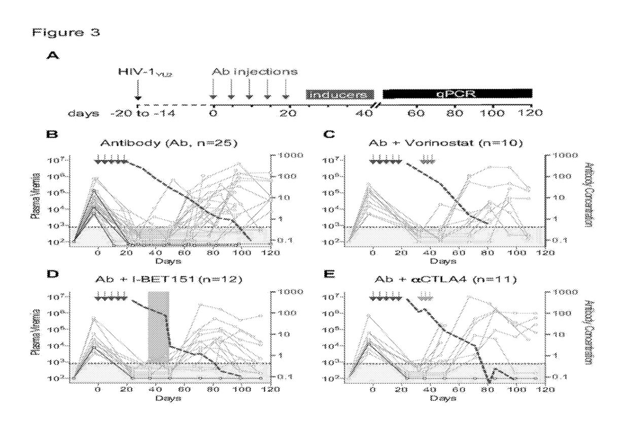 Combination of Broadly Neutralizing HIV Antibodies and Viral Inducers