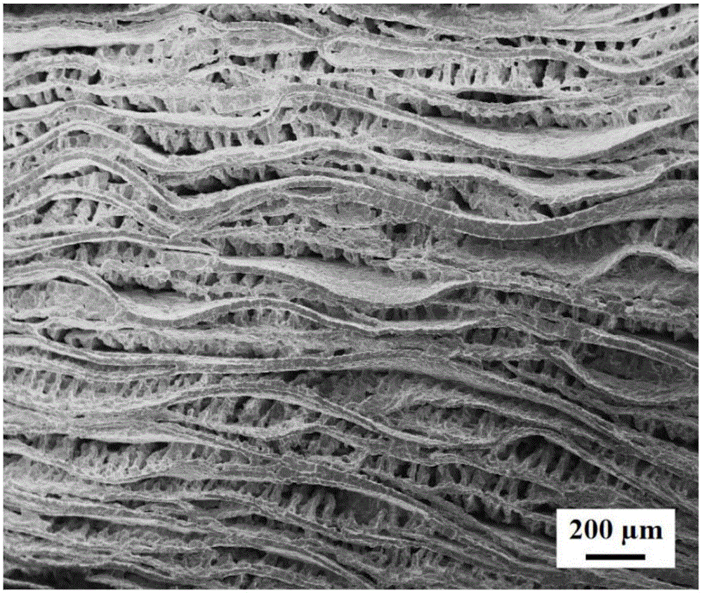 Shell-imitated ceramic-based composite material and preparation method thereof