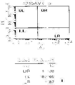 Yew branch and leaf extract, extraction method and applications thereof