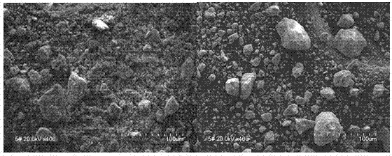 Identification method for distinguishing iron ore from oxide scale